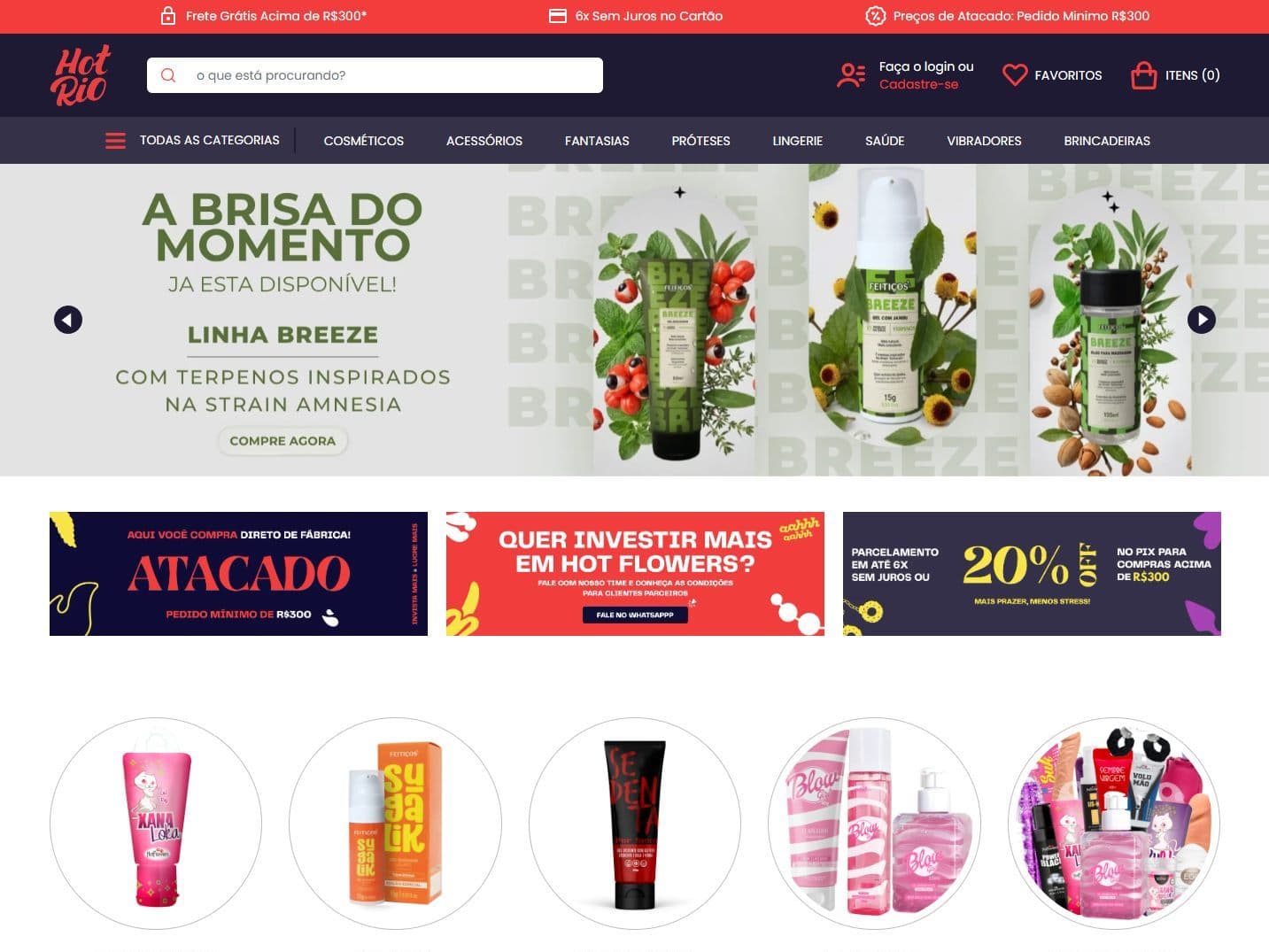 Prévia do projeto: HotRio